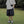 Load image into Gallery viewer, ポケットハーフパンツ【IR806】