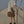 Load image into Gallery viewer, ワイドレッグショートパンツ【IR771】