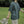 Load image into Gallery viewer, ウォッシュドコットンTシャツ【IR820】
