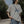 Load image into Gallery viewer, サーフプリントルーズTシャツ【IR748】