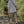 Load image into Gallery viewer, ベーシックプレーンTシャツ【IR801】