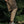 Load image into Gallery viewer, ショートパンツ【IR282】