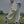 Load image into Gallery viewer, ベーシックストレートパンツ【IR288】