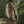 Load image into Gallery viewer, IRUMDROOM/Multi Pocket Vest/brown