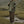 Load image into Gallery viewer, ワイドレッグストレートパンツ【IR598】
