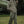 Load image into Gallery viewer, ワイドレッグストレートパンツ【IR688】
