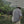 Load image into Gallery viewer, スナップボタンシャツ【IR280】
