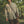 Load image into Gallery viewer, IRUMDROOM/Loose Striped Shirt/apricot/gray